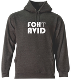 Fountain Hoodie